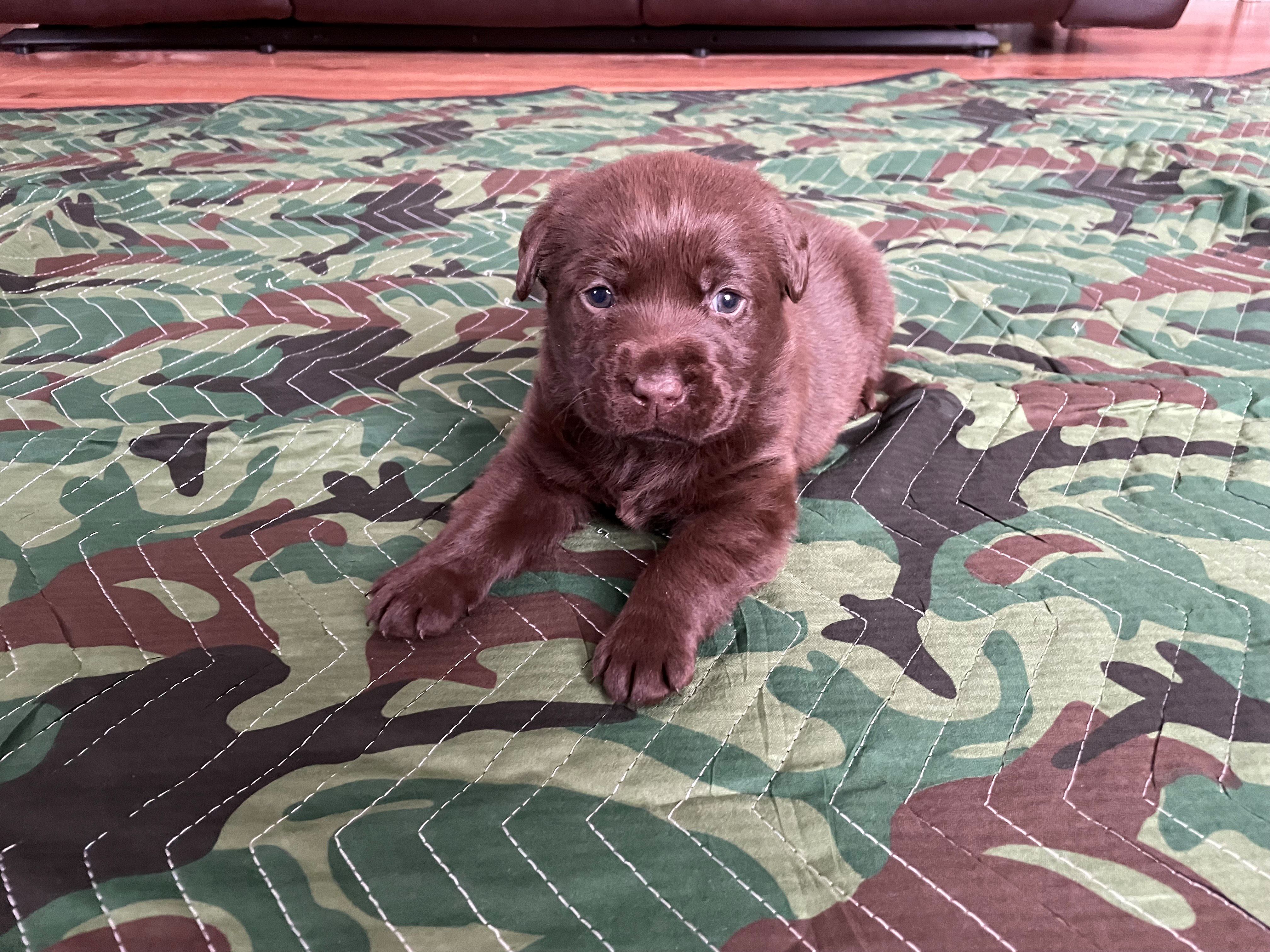 IMG_8743-Red-Resized