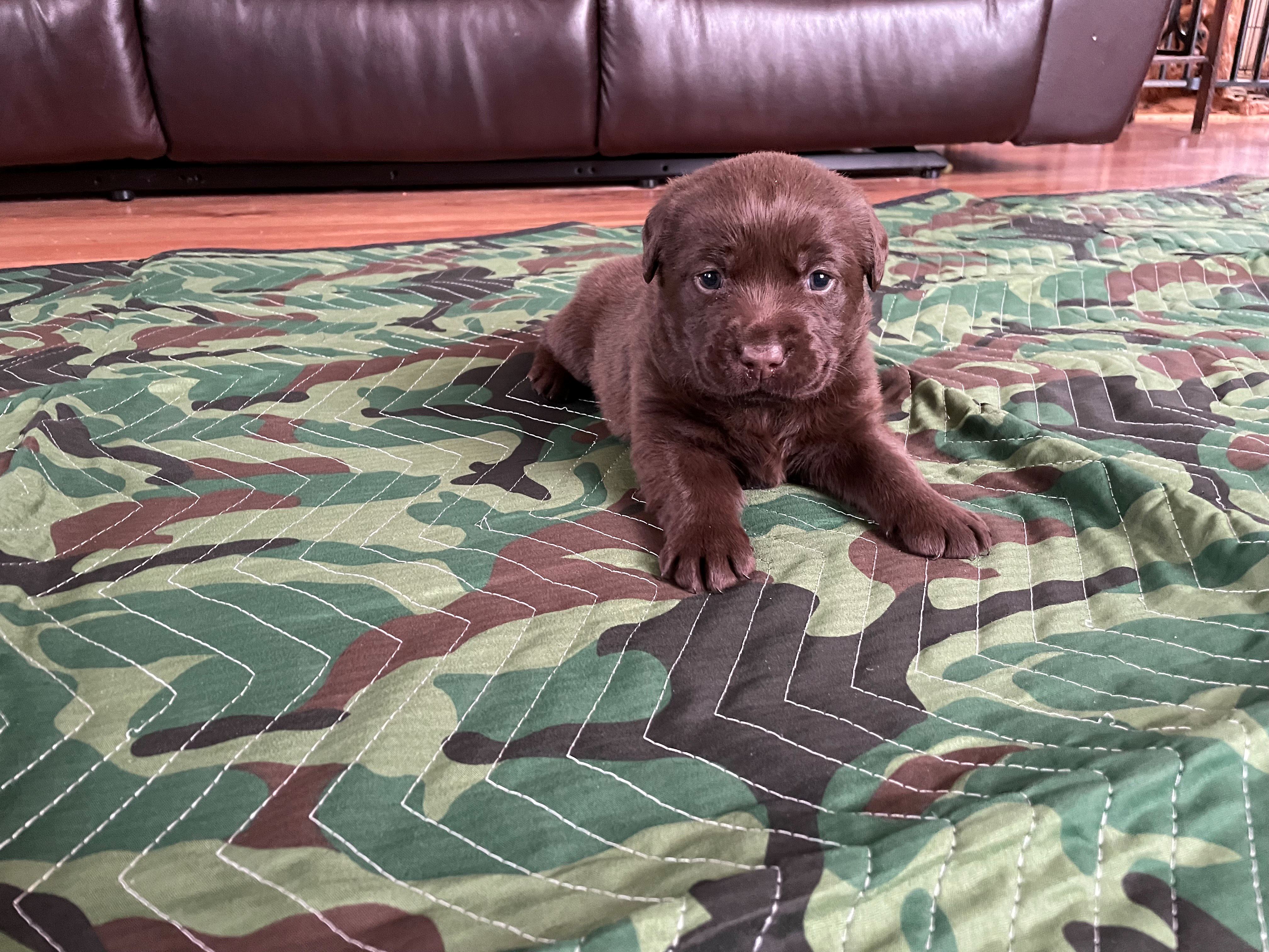 IMG_8748-Red-Resized