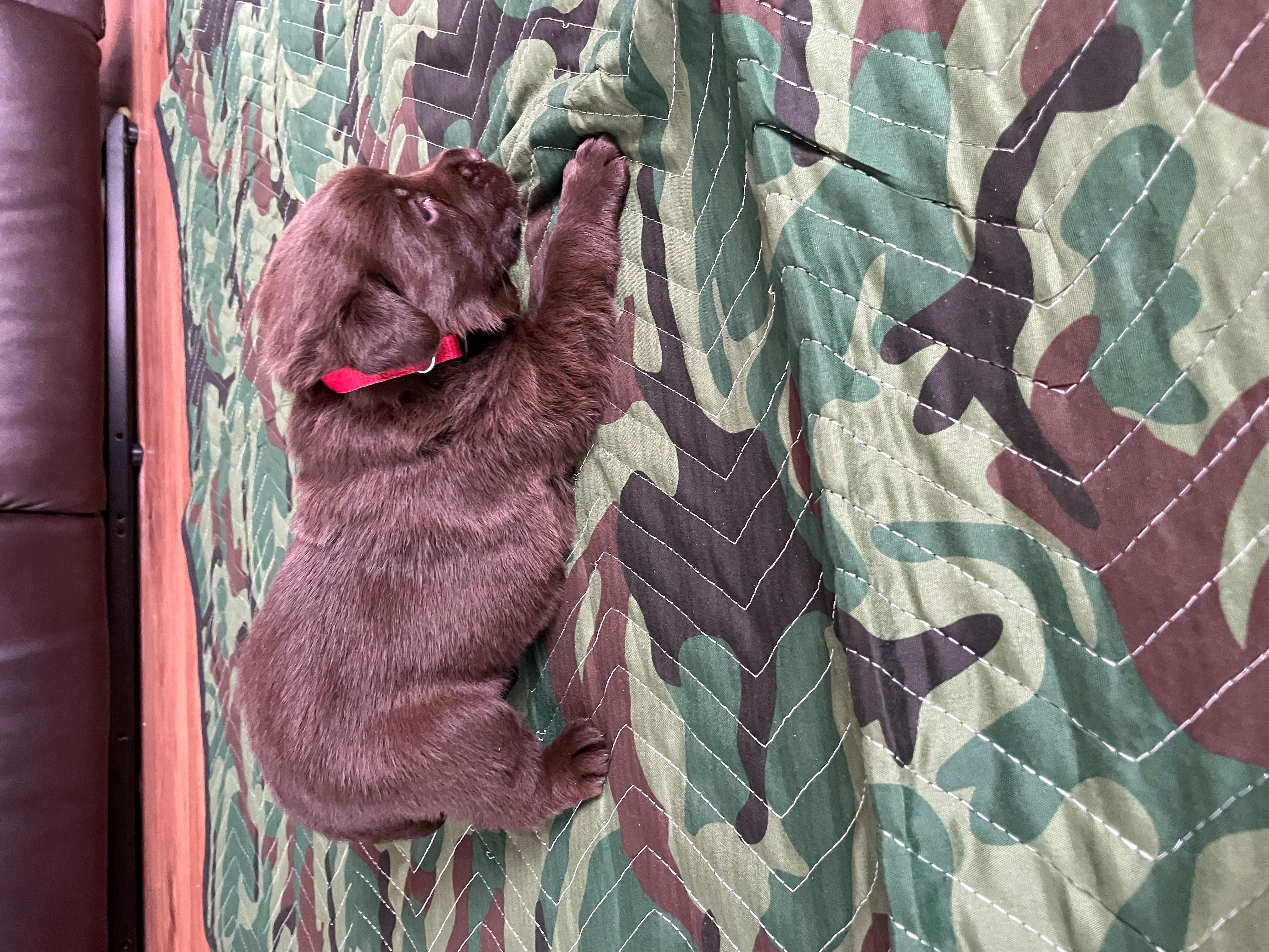 IMG_8752-Red-Resized