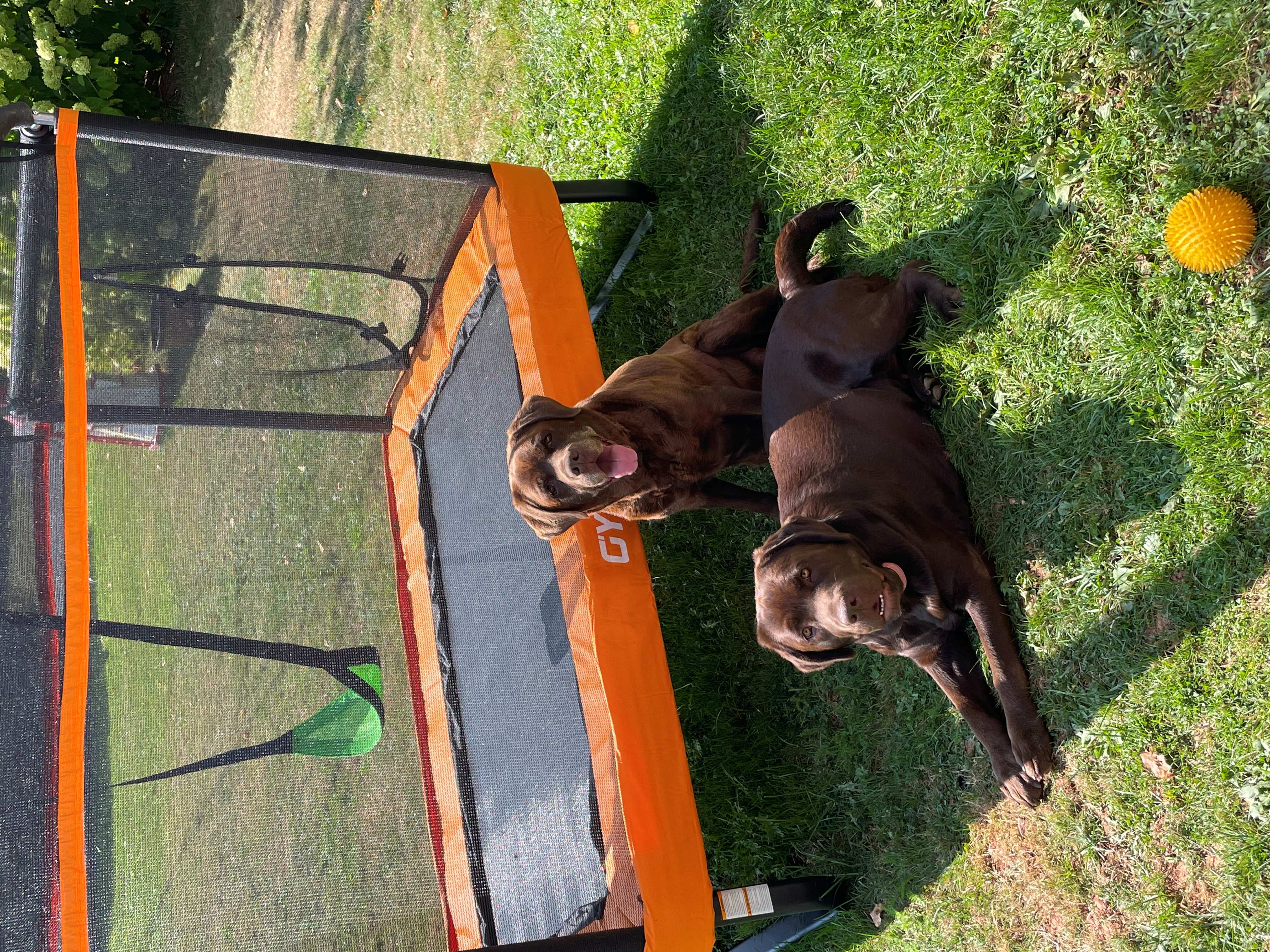 Mardy & River - Fall 2025-resize